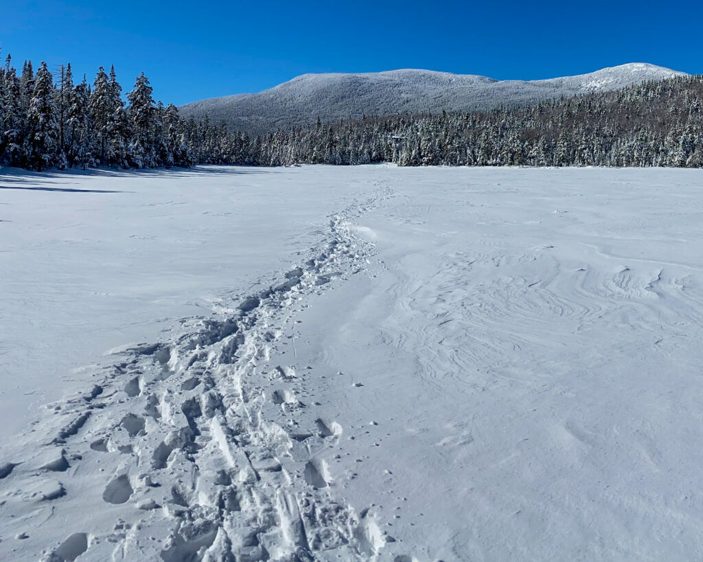 Snow-covered trail leading across a frozen landscape with evergreen trees and mountains under a clear blue sky.